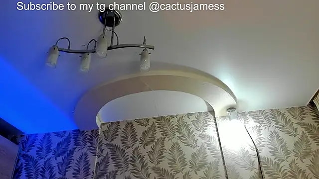 Snapshot of Cactus__James chatting on June 28, 2026, 10:21 am Cactus James online show from June 28, 2026, 10:21 am