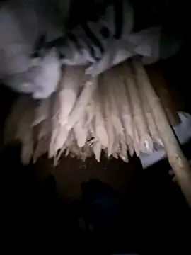 hot integer online show from March 7, 2026, 1:49 pm