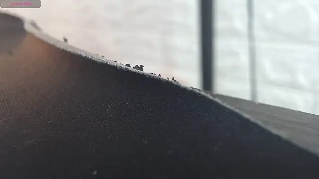 Snapshot of nei_girl chatting on November 30, 2025, 11:55 am nei girl online show from November 30, 2025, 11:55 am