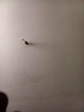 Snapshot of Thenaughtyboy360 chatting on October 7, 2025, 1:34 pm Thenaughtyboy360 online show from October 7, 2025, 1:34 pm