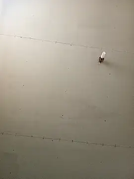 Thenaughtyboy360 online show from January 11, 2026, 3:52 pm