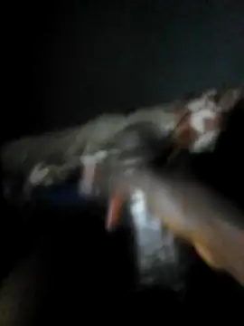 Snapshot of mydickbedarkandthick chatting on November 23, 2025, 11:15 pm mydickbedarkandthick online show from November 23, 2025, 11:15 pm