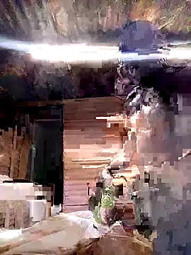 paptsimo online show from November 5, 2025, 2:14 am