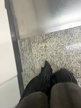 xiaoyuan01 online show from February 6, 2026, 2:07 am