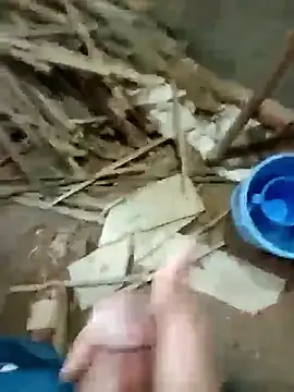 zim200 online show from November 20, 2025, 6:36 am