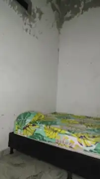 David tatto1 online show from April 16, 2026, 3:07 am