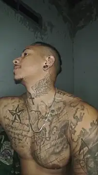 David tatto1 online show from March 4, 2026, 3:03 am