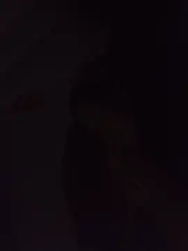 Snapshot of Sexxoophone chatting on July 3, 2026, 3:35 am Sexxoophone online show from July 3, 2026, 3:35 am