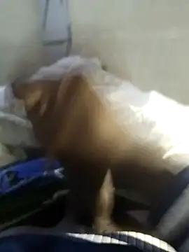 Snapshot of 92donis chatting on November 20, 2025, 7:25 pm 92donis online show from November 20, 2025, 7:25 pm