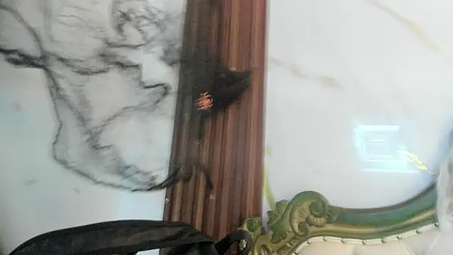 CoralieBronson online show from October 28, 2025, 8:41 pm