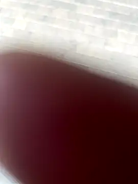 Snapshot of kamo012000 chatting on October 9, 2025, 2:39 pm kamo012000 online show from October 9, 2025, 2:39 pm