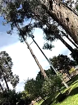 Yaya watson online show from April 1, 2026, 6:38 pm