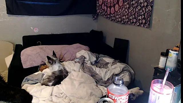 Snapshot of London_Ray chatting on November 15, 2025, 11:47 am London Ray online show from November 15, 2025, 11:47 am