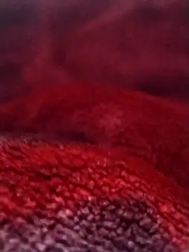 Snapshot of saneer69tew chatting on February 26, 2026, 6:13 am saneer69tew online show from February 26, 2026, 6:13 am