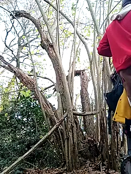 Snapshot of Wilsonn86 chatting on November 12, 2025, 9:13 am Wilsonn86 online show from November 12, 2025, 9:13 am