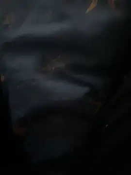 high geil online show from December 3, 2025, 9:09 am