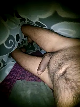 Desi Horny Boys online show from December 21, 2025, 4:52 pm