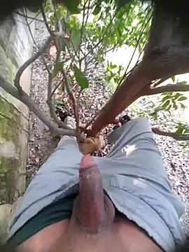 Desi Horny Boys online show from November 22, 2025, 6:01 am