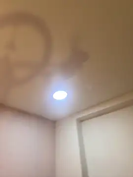 Bella  Wood online show from March 21, 2026, 8:46 pm