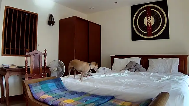 Snapshot of Fate_Fletcher chatting on September 25, 2025, 9:15 am Fate Fletcher online show from September 25, 2025, 9:15 am