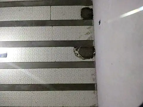 Snapshot of Rafaschuler chatting on December 16, 2025, 10:47 pm Rafaschuler online show from December 16, 2025, 10:47 pm