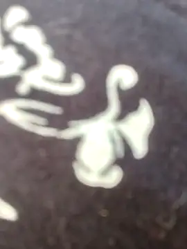 papukurty online show from February 22, 2026, 12:18 pm