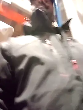 Snapshot of frenchblackc31 chatting on December 2, 2025, 3:14 pm frenchblackc31 online show from December 2, 2025, 3:14 pm