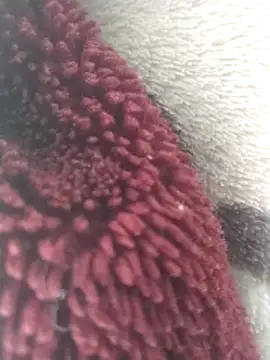 yaraa49 online show from December 16, 2025, 5:55 am