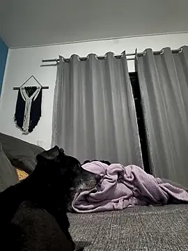 Snapshot of mikeara90 chatting on October 22, 2025, 10:30 pm mikeara90 online show from October 22, 2025, 10:30 pm