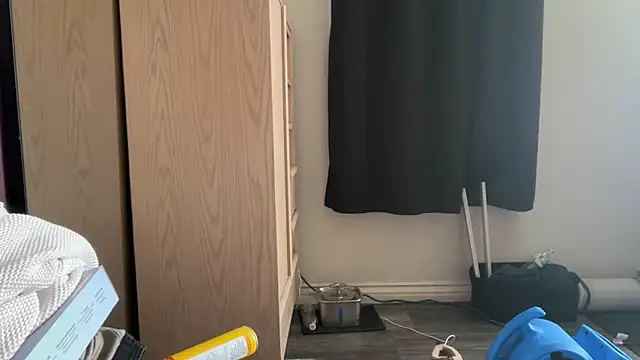 Snapshot of kSwisssxxx chatting on December 4, 2025, 10:20 pm kSwisssxxx online show from December 4, 2025, 10:20 pm