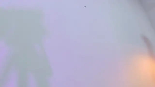 eimy skinny  online show from February 12, 2026, 12:49 pm