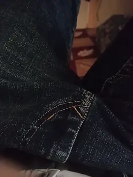 Snapshot of silvaa89 chatting on November 17, 2025, 3:32 am silvaa89 online show from November 17, 2025, 3:32 am