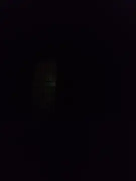 Snapshot of silvaa89 chatting on December 2, 2025, 12:55 am silvaa89 online show from December 2, 2025, 12:55 am