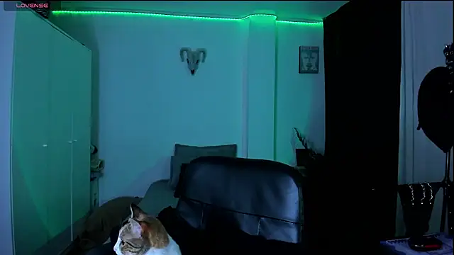 kattusauruss online show from March 22, 2026, 2:26 am