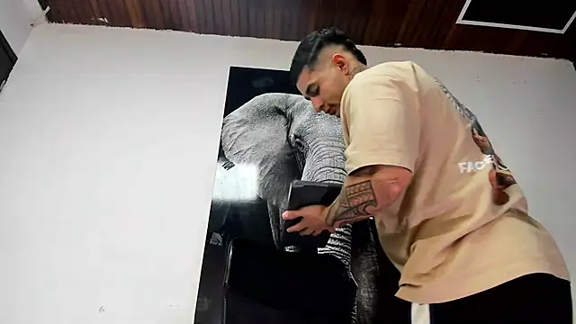 Snapshot of king_falconer chatting on October 25, 2025, 3:49 am king falconer online show from October 25, 2025, 3:49 am