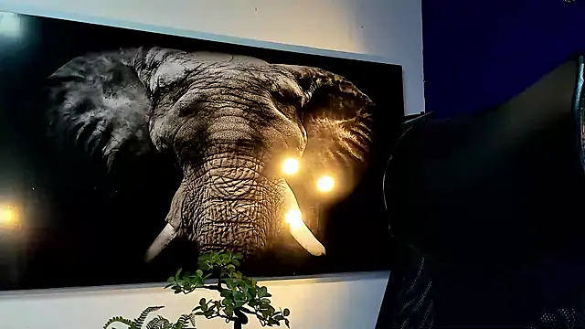 Snapshot of king_falconer chatting on November 27, 2025, 12:55 am king falconer online show from November 27, 2025, 12:55 am