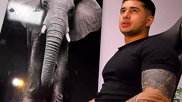 Snapshot of king_falconer chatting on October 28, 2025, 3:18 am king falconer online show from October 28, 2025, 3:18 am