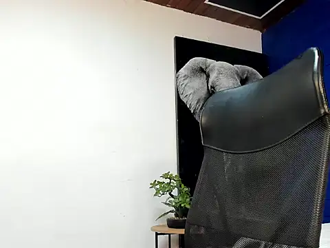 Snapshot of king_falconer chatting on November 5, 2025, 6:05 am king falconer online show from November 5, 2025, 6:05 am