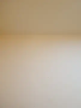 Oriana111 online show from February 15, 2026, 3:55 pm