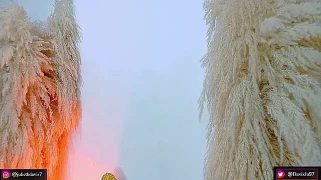 JulietaDavis online show from April 17, 2026, 9:34 am