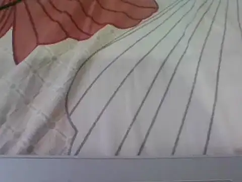 young dickkk online show from September 23, 2025, 12:23 pm