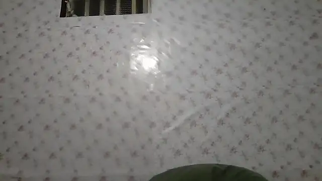 Roselingalvis13 online show from March 4, 2026, 2:52 am