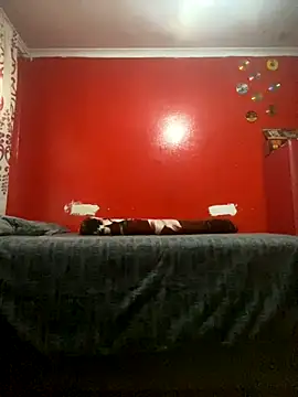 Snapshot of BaggyDirt chatting on November 29, 2025, 3:34 pm BaggyDirt online show from November 29, 2025, 3:34 pm