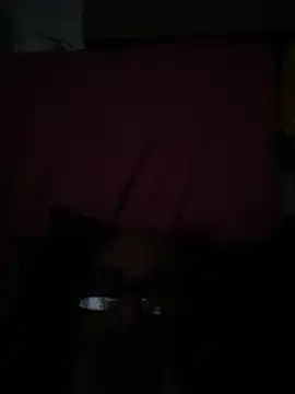 crisfootlicker online show from July 28, 2026, 9:25 pm