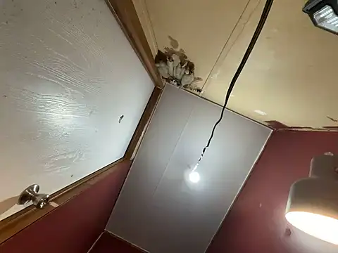 Snapshot of strokeslottabwc chatting on October 19, 2025, 8:50 am strokeslottabwc online show from October 19, 2025, 8:50 am