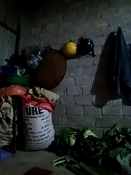 Snapshot of jienrrr chatting on February 24, 2026, 11:33 am jienrrr online show from February 24, 2026, 11:33 am