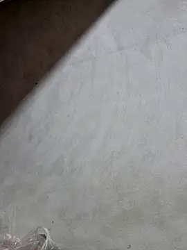 yoowwmr online show from October 25, 2025, 1:12 pm