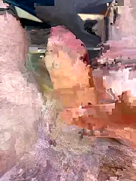 leroy9501 online show from April 10, 2026, 9:05 am