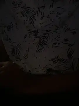 Snapshot of hoegupta chatting on December 4, 2025, 10:47 am hoegupta online show from December 4, 2025, 10:47 am