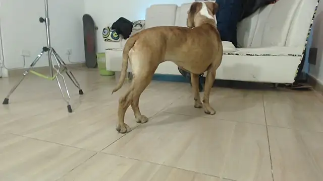 Thomasjons  online show from April 12, 2026, 2:37 am